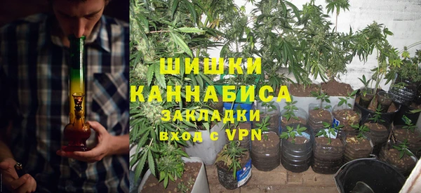 амф Алзамай