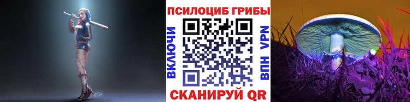 Галлюциногенные грибы GOLDEN TEACHER  закладки  Искитим 